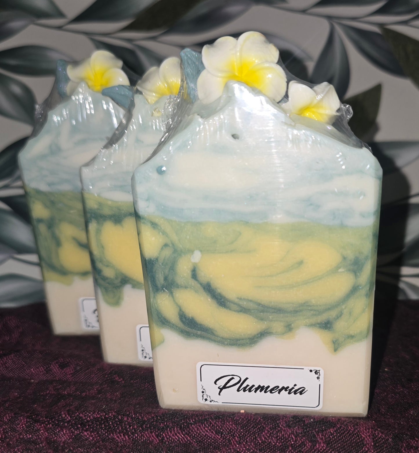 Plumeria